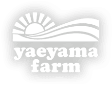 yaeyama farm